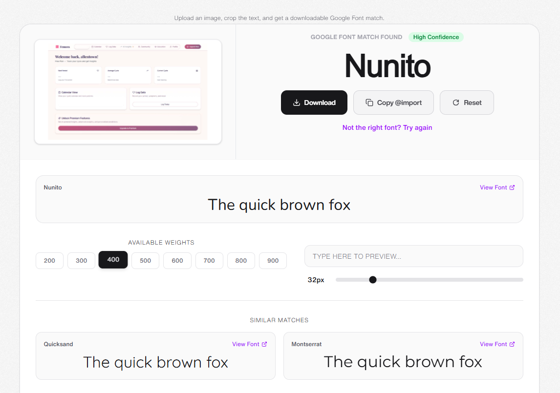 What The Google Font Example